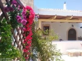 Harmony at Trifilianika