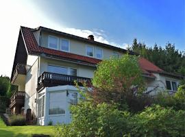 Gruppen- Ferienhaus in Wieda, Hotel in Wieda