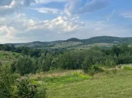BerryWood