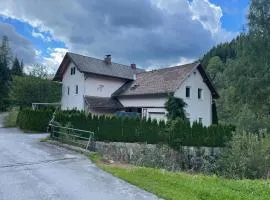 Haus Leiner