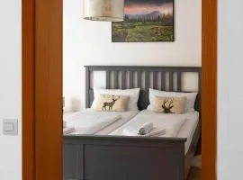 Ferienwohnung Panoramablick - super für deine Familie und die besten Aussicht in ganz Todtmoos