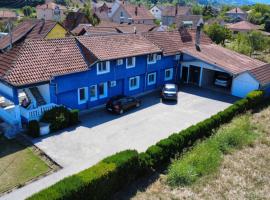 Privatan smeštaj Plava kuća, δωμάτιο σε οικογενειακή κατοικία σε Mataruška Banja