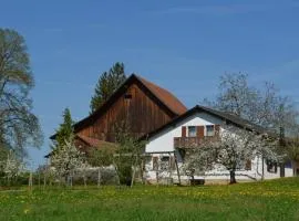 Wohnung Bellevue
