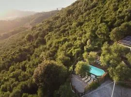 La Lucertola