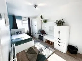 Spacious Single Room