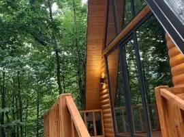Forest Escape