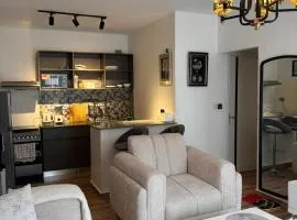 Snyder luxe homes