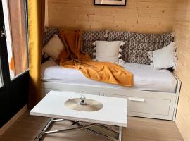 Joli studio hypercentre, hotel en Les Carroz d'Arâches