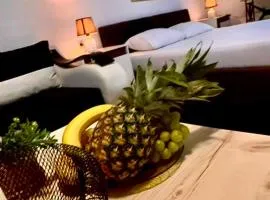 Villa Srna Apartments