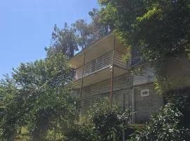 Guesthouse "Pines"