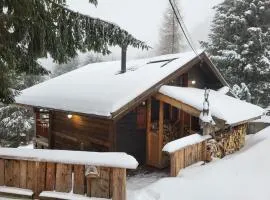 Chalet Chamois & Spa