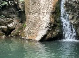 Chalet Dirfys - Escape in the heart of Evia