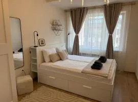 Koko's Cozy Apartment - free Garage Netflix and Balcony
