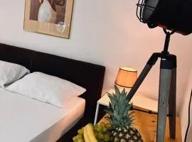 Villa Srna Apartments