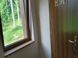 Evrika home 4