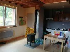 Appartement confortable à Cleurie avec jardin