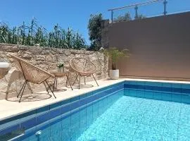 Relax Private Pool House