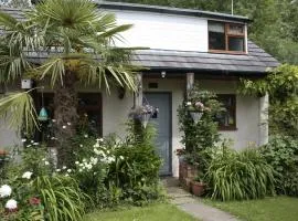 Cottage with beautiful views - dog friendly