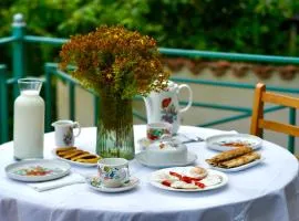 Bokneti - Guest House, Agro Tourism Destination
