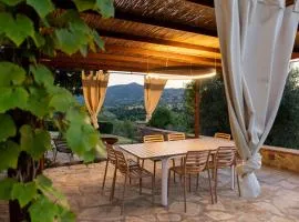 Stone Villa Overlooking Panicale Vineyards