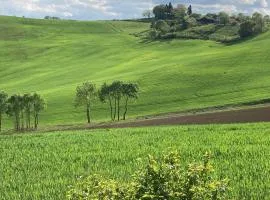 85 m2 de plain-pied dans maison confortable avec vue sur la vallée et les Pyrénées ariégeoises, grande terrasse avec barbecue et parking gratuit