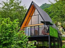 Cottage Mziuri