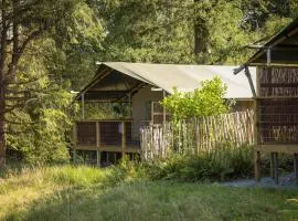 Coniston - Safari Suite