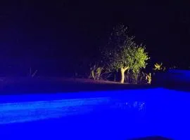 CHEZ MITCH EN CAMPING CAR et grand espace extérieur
