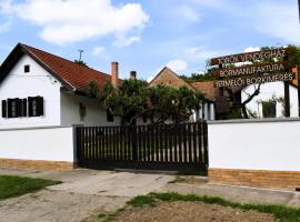 Vill&aacute;ny Outback, cottage ở Kisjakabfalva