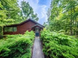 Mountain-View Cabin Hot Tub, Fire Pit & Jacuzzi