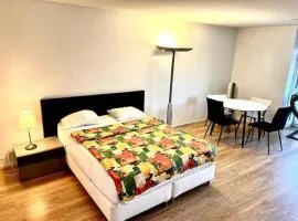 Brand New City Center downtown apartment Zurich Brauer