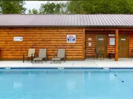 Sweet Bearoline by American Patriot Getaways