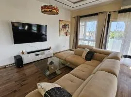 Modern and bright light room