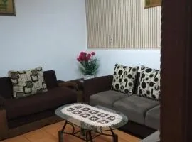 VV&V HomeStay