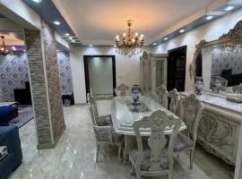 شقه vip في المهندسين