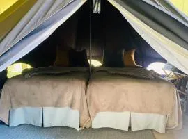 TOCORO. Mt.Fuji CAMP & GLAMPING - Vacation STAY 23396v