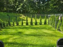 Apartament Zamkowe Wzgórze