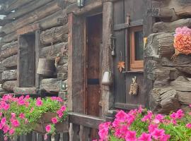 Steinbock rascard, hotel en Valtournenche