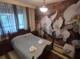 Oasis Apartment