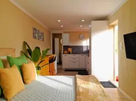 Estudio Doña Laly