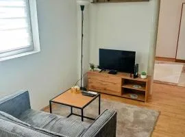 Apartmani Janićijević 2