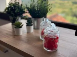 el mirador de ona