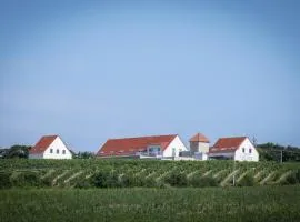 Mušlovské Vinohrady