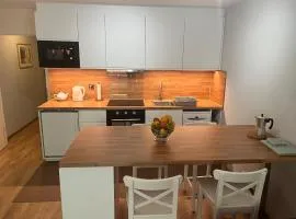 Alpine apartment in Swiss village of Torgon