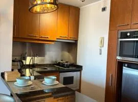 Depa en Providencia con terraza VIP