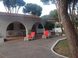 Pinos Verdes