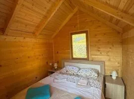 ORAHOVSTICA TRAIL - Glamping