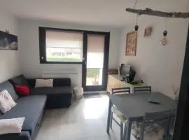 Studio Hyper centre - Ski