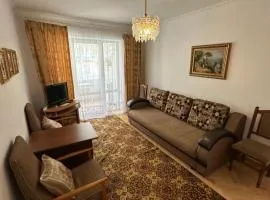 Затишна 2 кімнатна квартира Трускавець