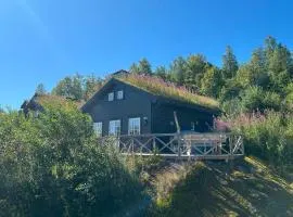 3 Bedroom Lovely Home In Åseral